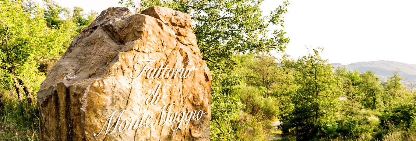 Why Tuscany is the perfect destination to get married