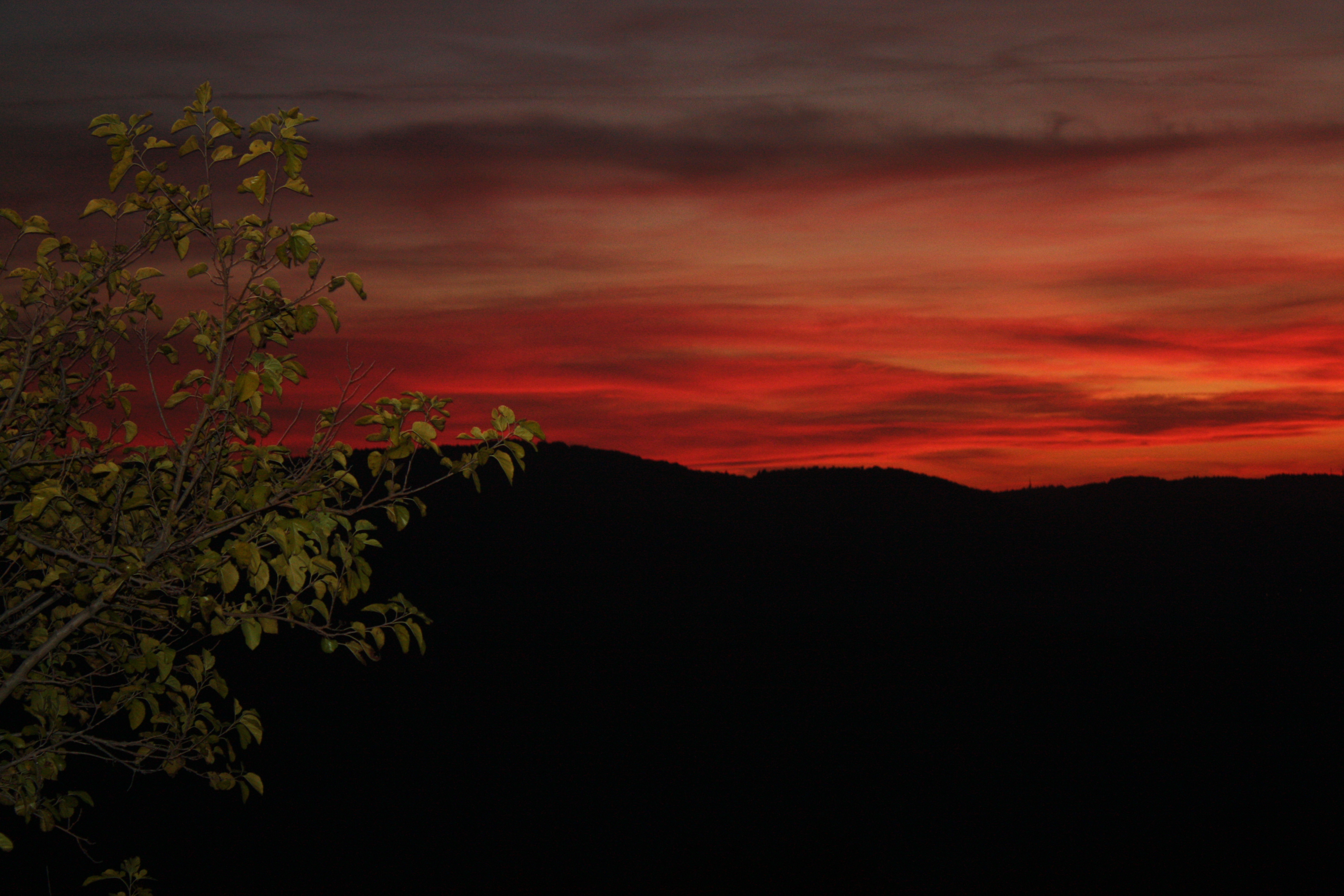 "A Journey Through Tuscany: Unveiling the Coastal Charm and Inland Wonders"