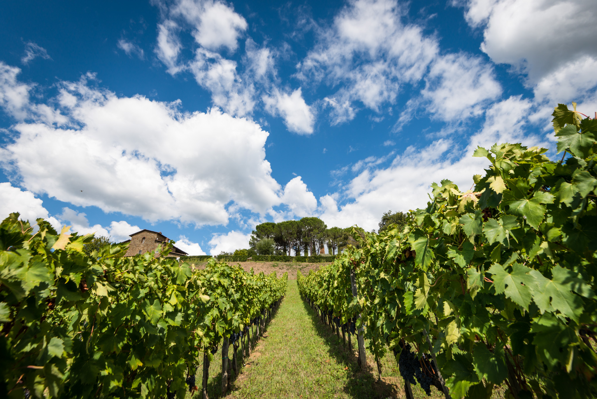 A Brief History of Tuscany