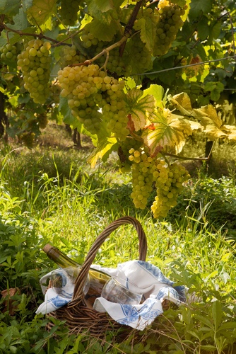 Tuscany Off the Beaten Path