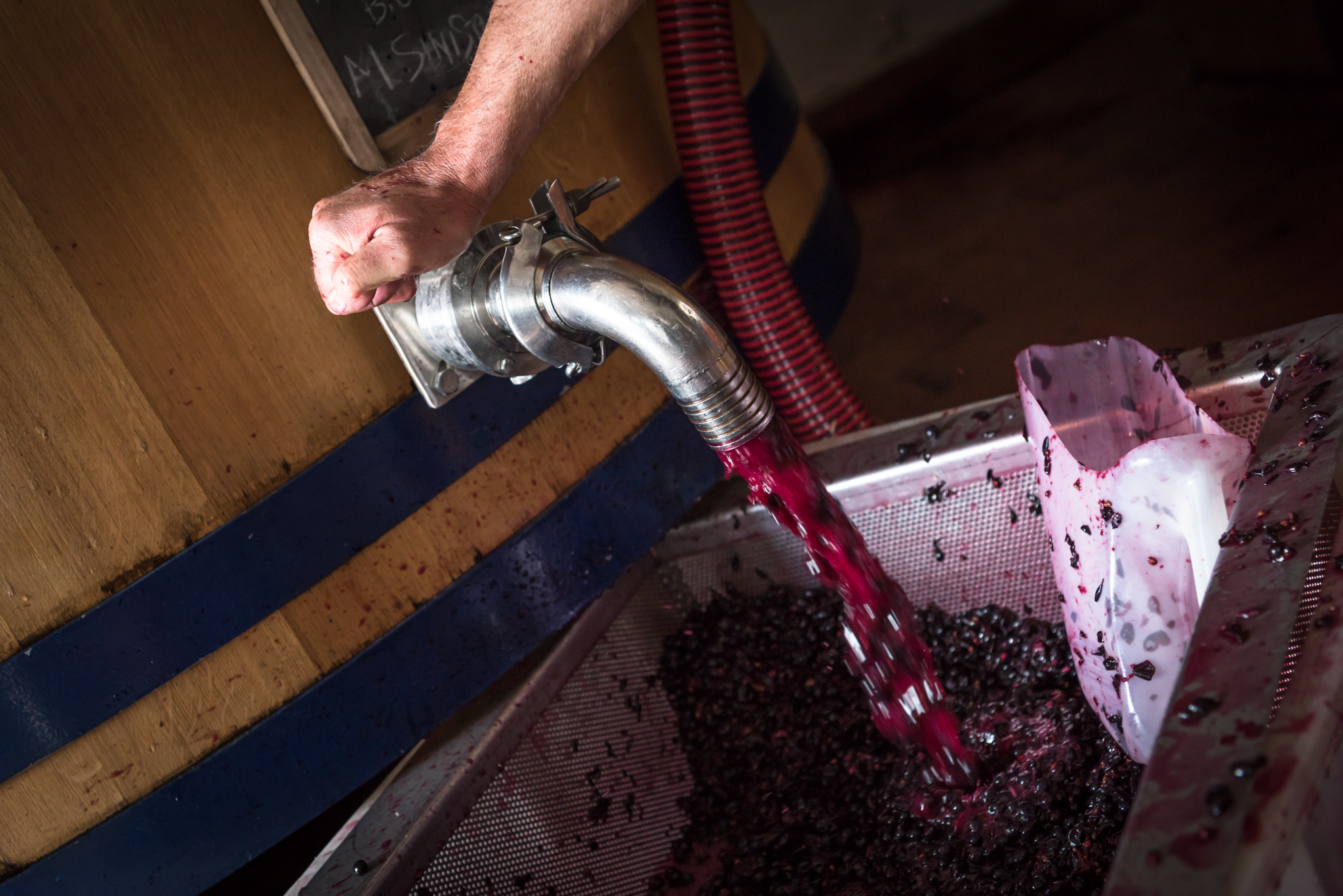 Vino Degustazione