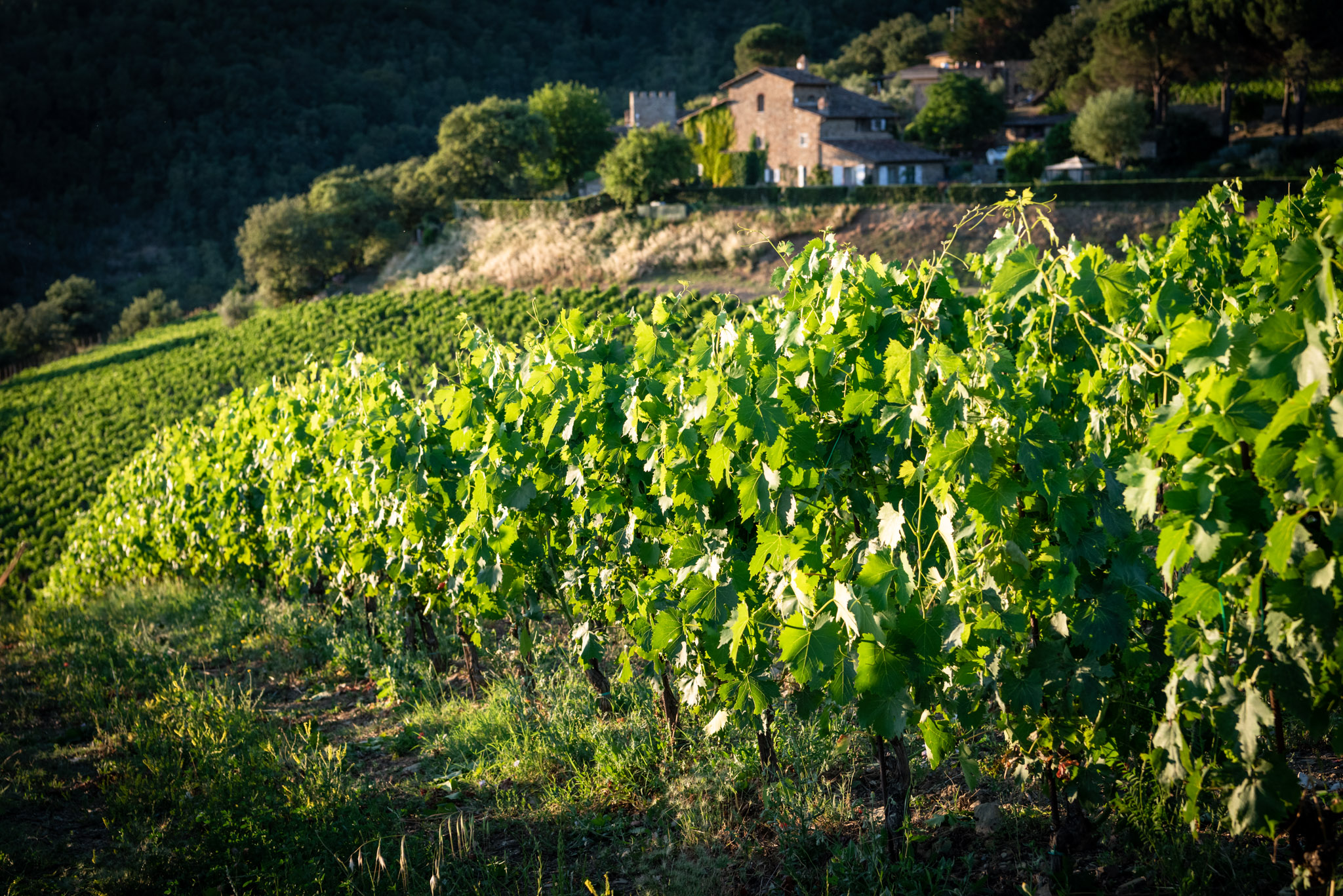 How Travel To Tuscany Will Change After Covid