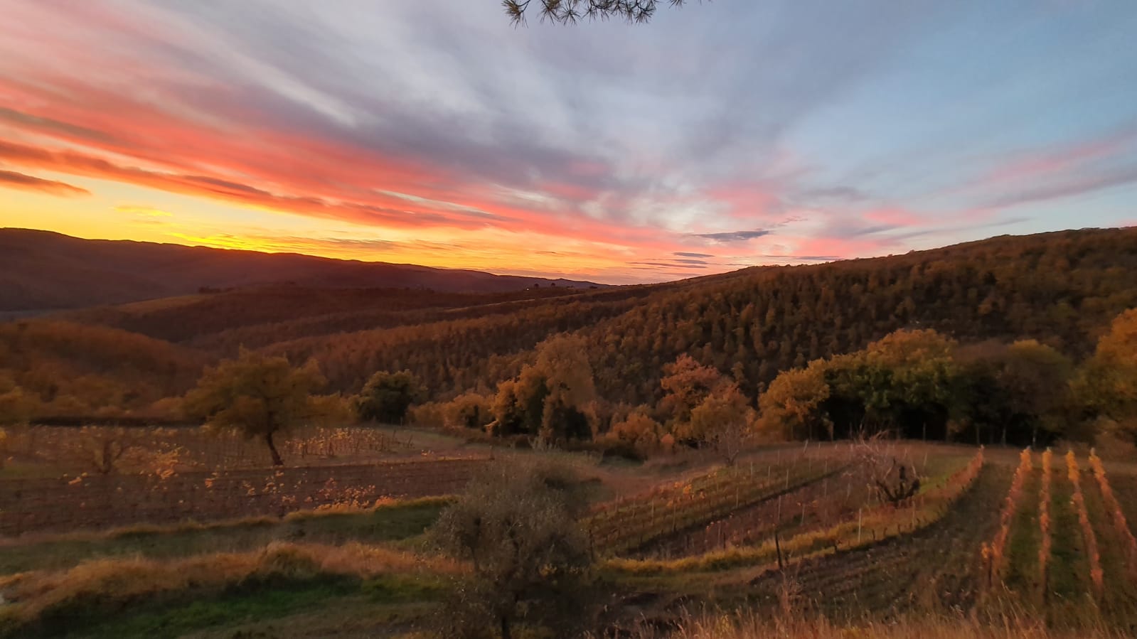 Best Places to Watch Sunset in Tuscany