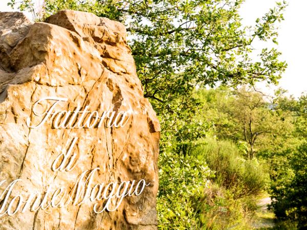 Why Tuscany is the perfect destination to get married