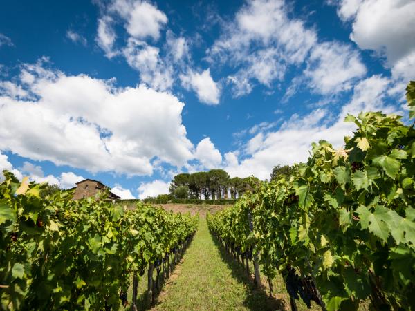 A Brief History of Tuscany