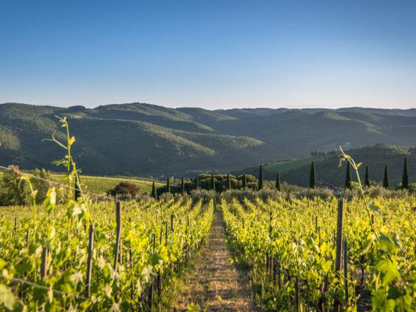 Say Yes To Winter In Chianti