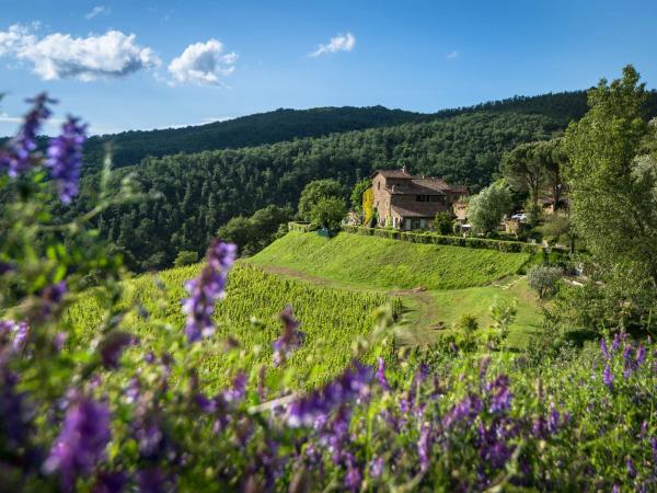 5 Fun Facts You Need To Know Before Traveling To Italy