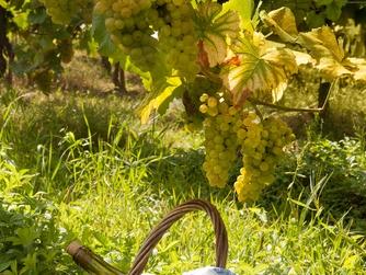 Tuscany Off the Beaten Path