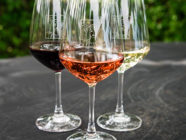 Why Your Senses Are Important To Wine Tasting