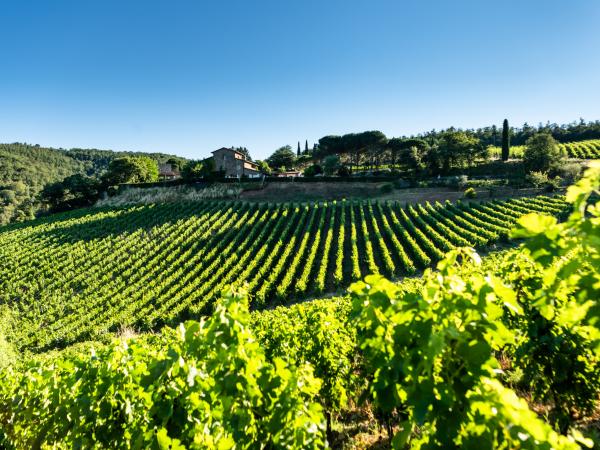 Why You Should Retire in Tuscany 