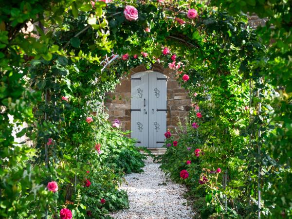 Best Places to Honeymoon in Tuscany