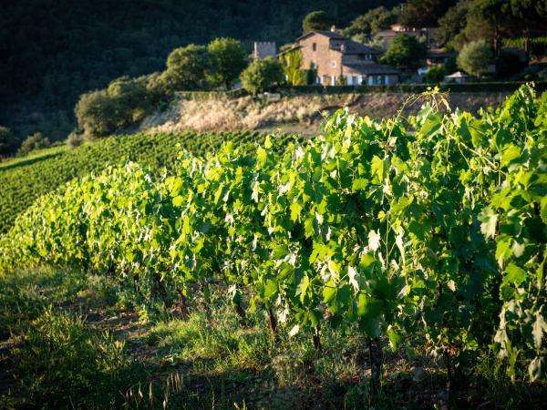 How Travel To Tuscany Will Change After Covid