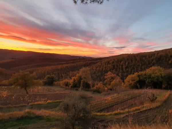 Best Places to Watch Sunset in Tuscany