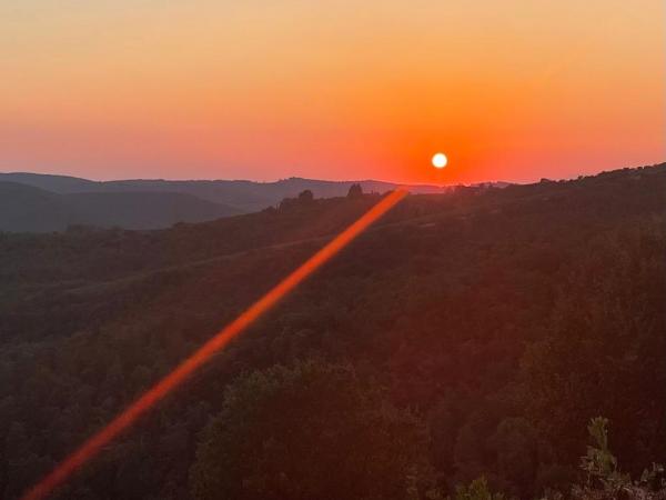 🍷 Cosa fare nel Chianti Classico: guida completa tra vino, paesaggi e esperienze autentiche