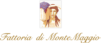 Tour Tuscany